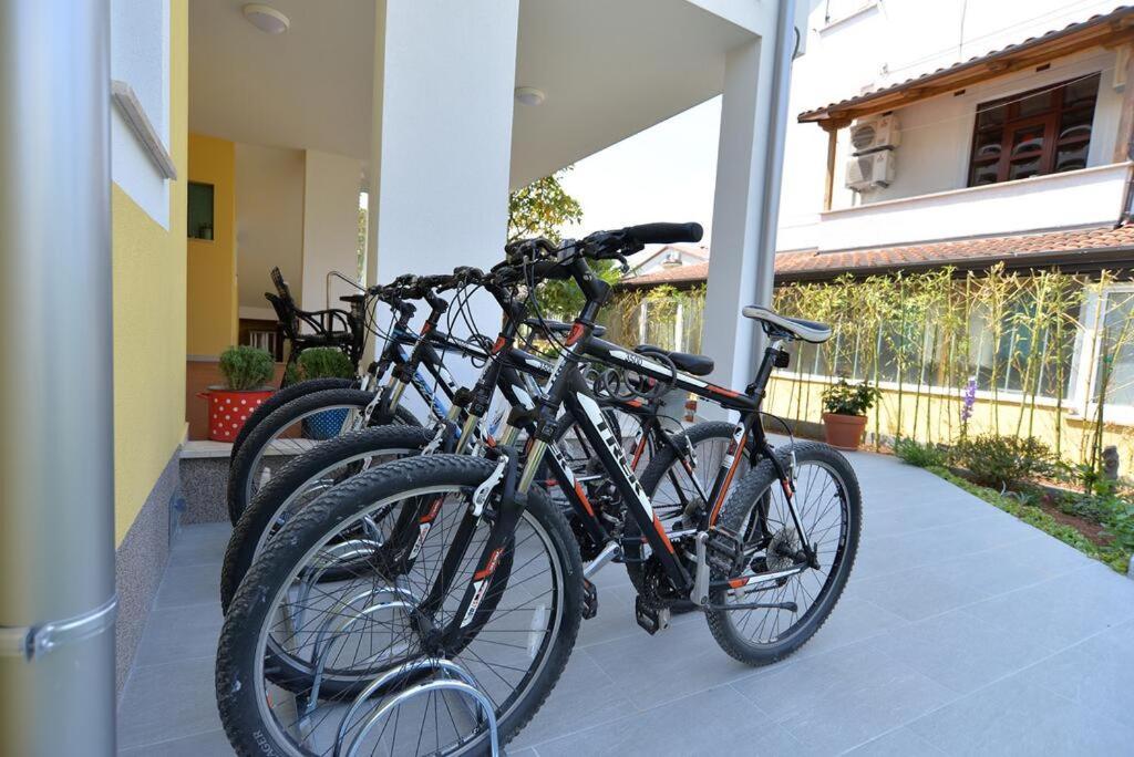 New In Center Of Apartment *